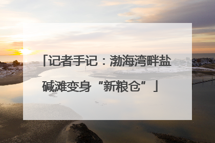 记者手记：渤海湾畔盐碱滩变身“新粮仓”