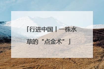 行进中国丨一株水草的“点金术”