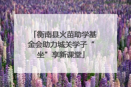 衡南县火苗助学基金会助力城关学子“坐”享新课堂