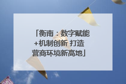 衡南：数字赋能+机制创新 打造营商环境新高地