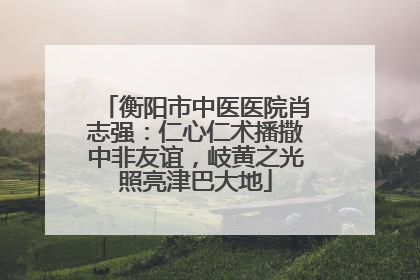 衡阳市中医医院肖志强：仁心仁术播撒中非友谊，岐黄之光照亮津巴大地