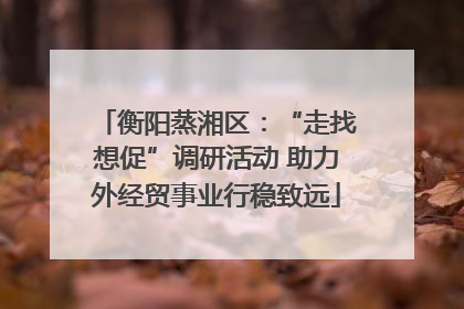 衡阳蒸湘区：“走找想促”调研活动 助力外经贸事业行稳致远