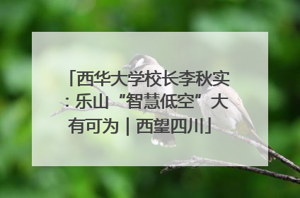 西华大学校长李秋实：乐山“智慧低空”大有可为｜西望四川