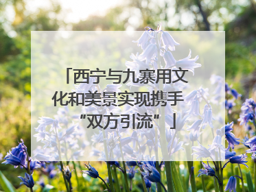 西宁与九寨用文化和美景实现携手“双方引流”
