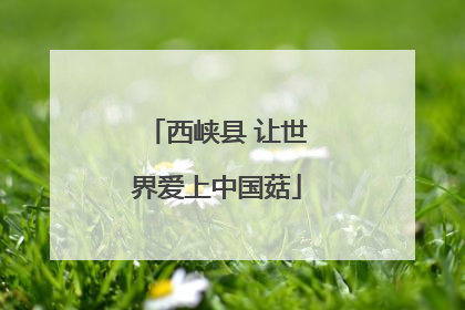 西峡县 让世界爱上中国菇