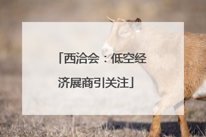 西洽会：低空经济展商引关注