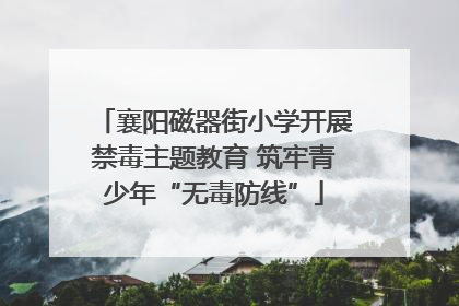 襄阳磁器街小学开展禁毒主题教育 筑牢青少年“无毒防线”