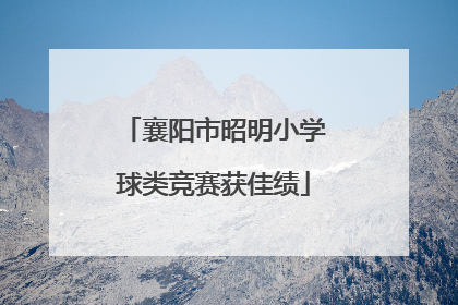 襄阳市昭明小学球类竞赛获佳绩