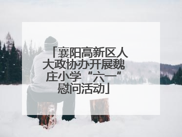 襄阳高新区人大政协办开展魏庄小学“六一”慰问活动