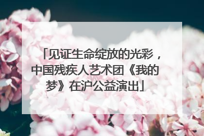 见证生命绽放的光彩，中国残疾人艺术团《我的梦》在沪公益演出