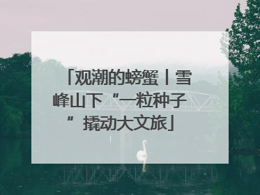 观潮的螃蟹丨雪峰山下“一粒种子”撬动大文旅