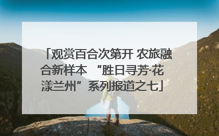 观赏百合次第开 农旅融合新样本 “胜日寻芳·花漾兰州”系列报道之七