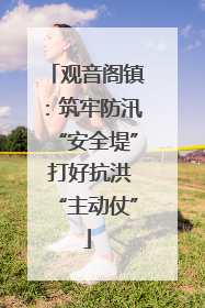 观音阁镇：筑牢防汛“安全堤” 打好抗洪“主动仗”