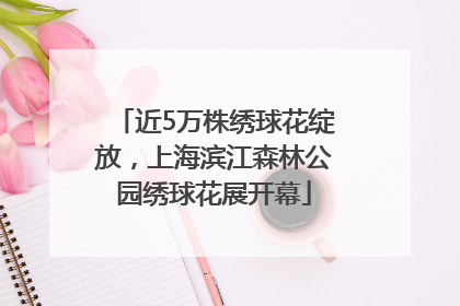 近5万株绣球花绽放，上海滨江森林公园绣球花展开幕