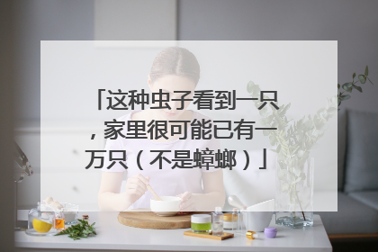 这种虫子看到一只，家里很可能已有一万只（不是蟑螂）