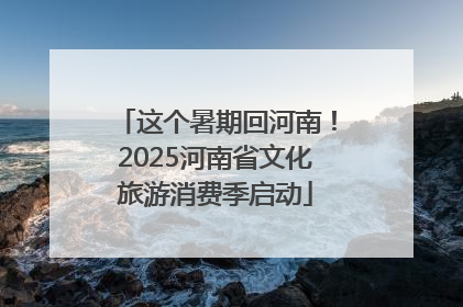 这个暑期回河南！2025河南省文化旅游消费季启动
