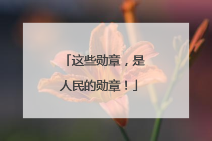 这些勋章，是人民的勋章！