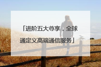进阶五大尊享，全球通定义高端通信服务