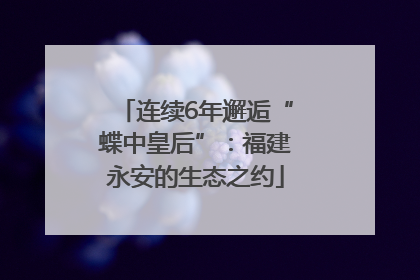 连续6年邂逅“蝶中皇后”：福建永安的生态之约