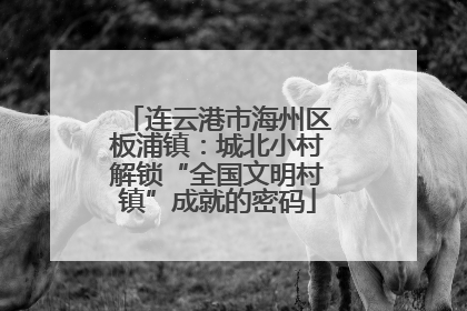 连云港市海州区板浦镇：城北小村解锁“全国文明村镇”成就的密码