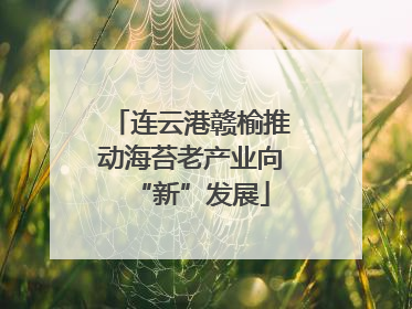 连云港赣榆推动海苔老产业向“新”发展
