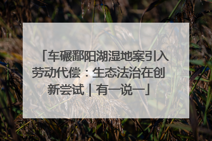 车碾鄱阳湖湿地案引入劳动代偿：生态法治在创新尝试｜有一说一