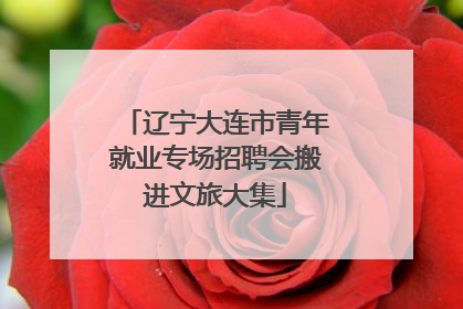辽宁大连市青年就业专场招聘会搬进文旅大集