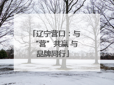 辽宁营口：与“营”共赢 与品牌同行