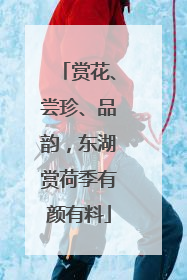 赏花、尝珍、品韵，东湖赏荷季有颜有料