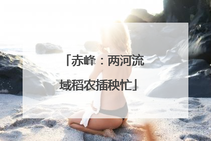 赤峰：两河流域稻农插秧忙