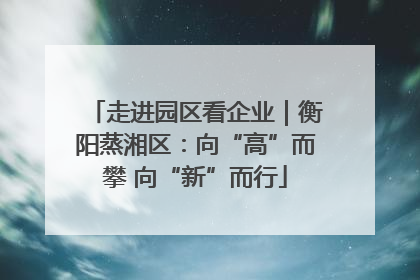 走进园区看企业｜衡阳蒸湘区：向“高”而攀 向“新”而行
