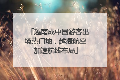 越南成中国游客出境热门地，越捷航空加速航线布局