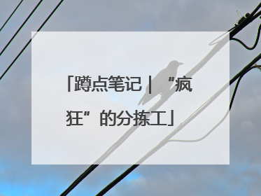 蹲点笔记｜“疯狂”的分拣工
