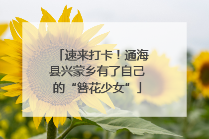 速来打卡！通海县兴蒙乡有了自己的“簪花少女”