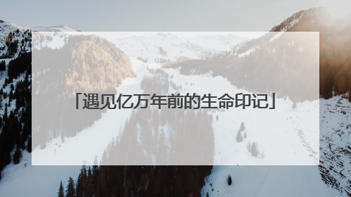 遇见亿万年前的生命印记