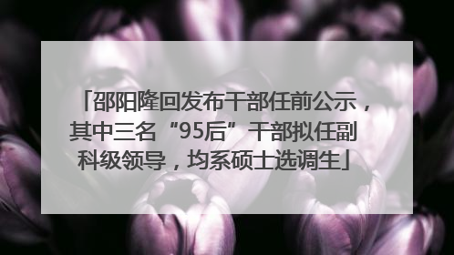 邵阳隆回发布干部任前公示，其中三名“95后”干部拟任副科级领导，均系硕士选调生