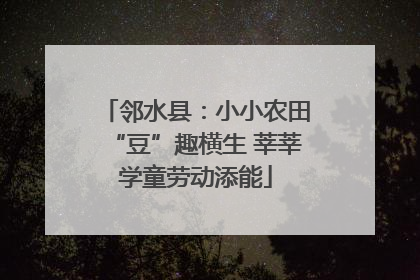 邻水县：小小农田“豆”趣横生 莘莘学童劳动添能