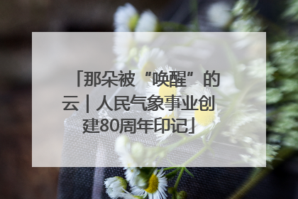 那朵被“唤醒”的云｜人民气象事业创建80周年印记