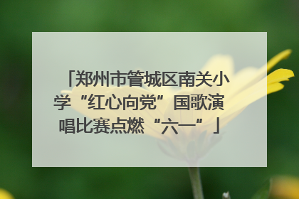 郑州市管城区南关小学“红心向党”国歌演唱比赛点燃“六一”