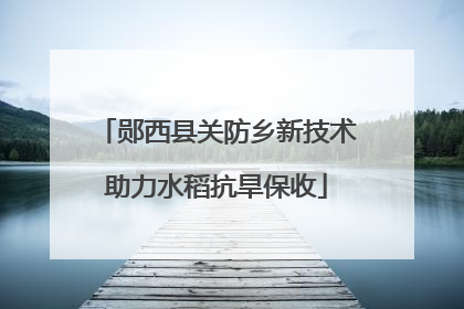 郧西县关防乡新技术助力水稻抗旱保收