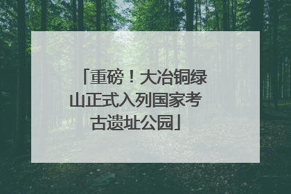 重磅！大冶铜绿山正式入列国家考古遗址公园