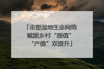 重塑湿地生命网络 赋能乡村“颜值”“产值”双提升