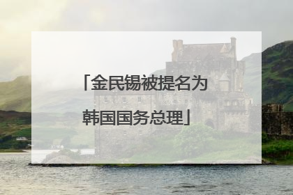 金民锡被提名为韩国国务总理
