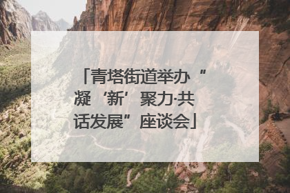 青塔街道举办“凝‘新’聚力·共话发展”座谈会