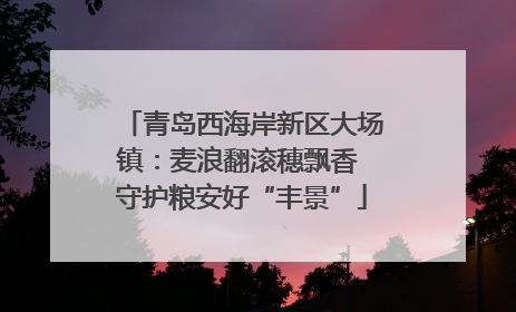 青岛西海岸新区大场镇：麦浪翻滚穗飘香 守护粮安好“丰景”