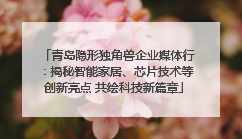 青岛隐形独角兽企业媒体行：揭秘智能家居、芯片技术等创新亮点 共绘科技新篇章