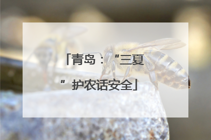 青岛：“三夏”护农话安全