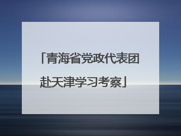 青海省党政代表团赴天津学习考察
