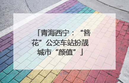 青海西宁：“簪花”公交车站扮靓城市“颜值”