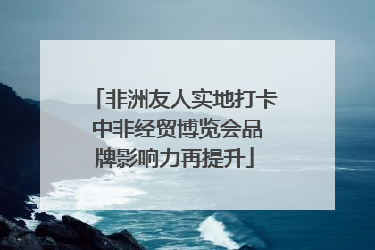 非洲友人实地打卡 中非经贸博览会品牌影响力再提升